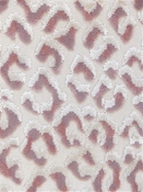 Ocelot Blush Hamilton Fabric 